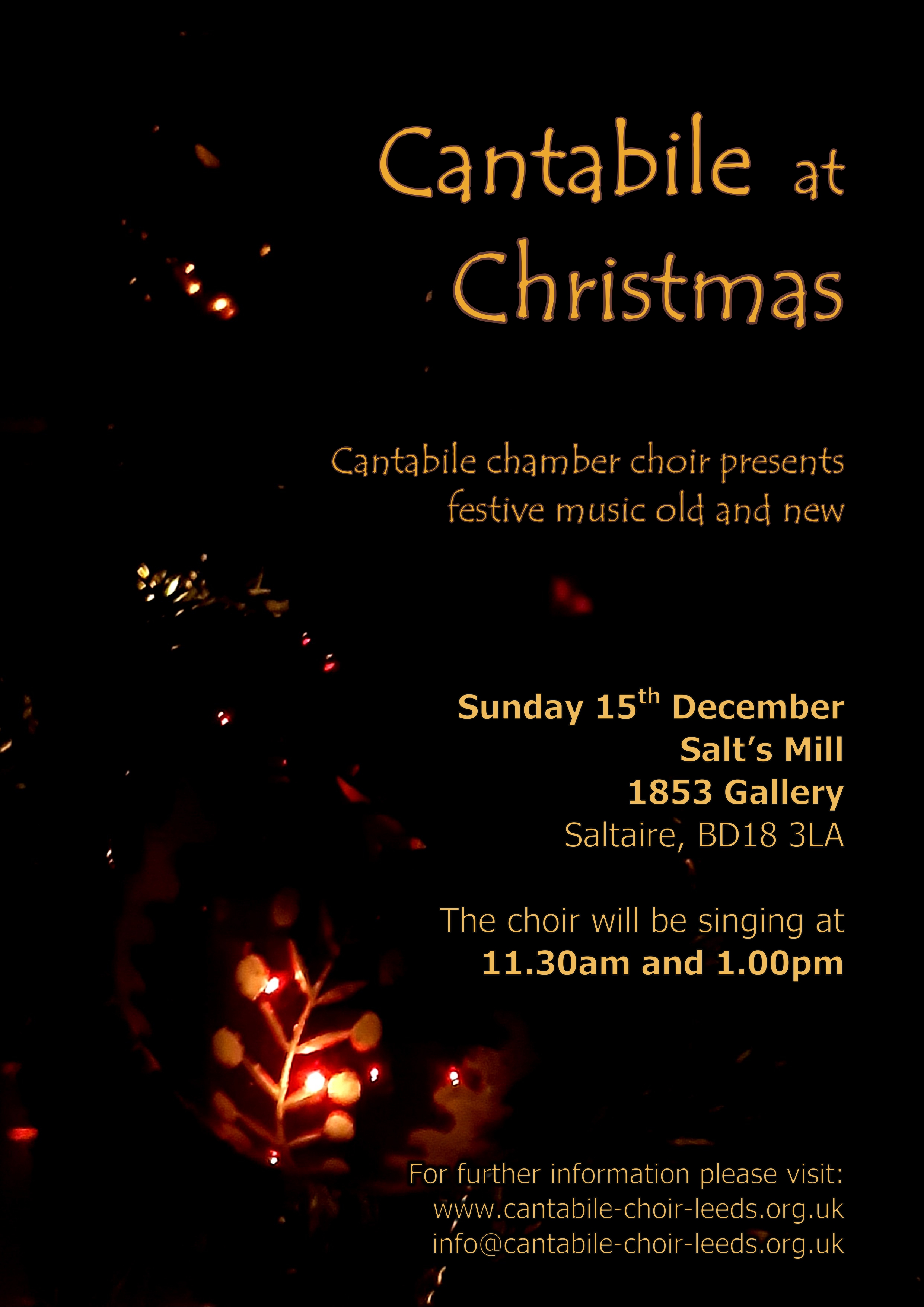 Salts Mill Concert flyer 15th December 2024. Dark backgounrd
  with lit up leaves and christmas tree lights.